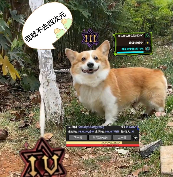 我就不去四次元截图
