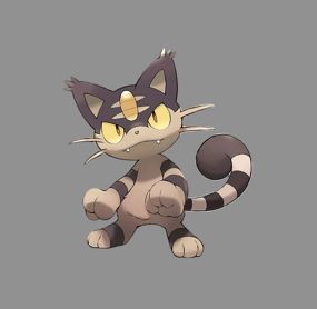 股东汇报会-第八期