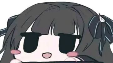 食材的处理方法之——卤炖攻略（半肉输出弩盾）