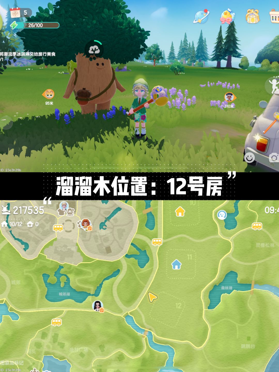 【9.27】萤石和溜溜木位置 3