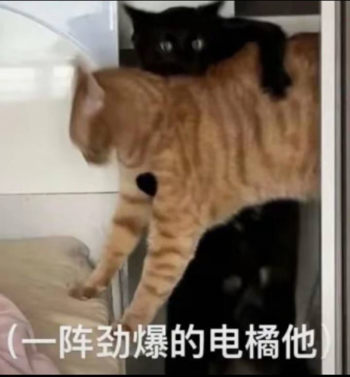 陷入生态怪圈截图