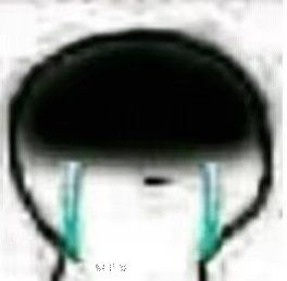 九天,还有九天啊😭为什么我不能穿越到更新 1