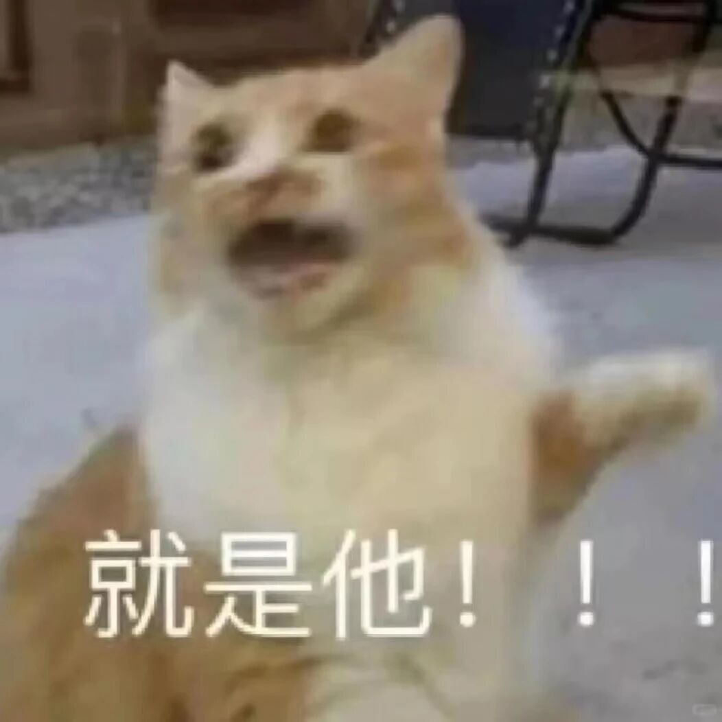 感谢爱亿大佬的99+ 2