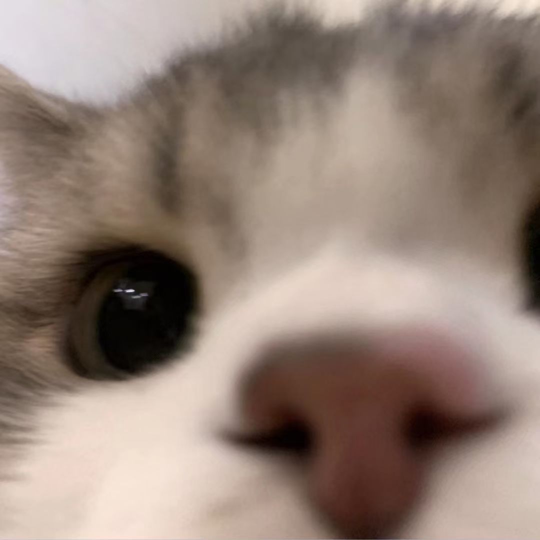 水 1
