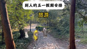 别人的五一假期vs我的......