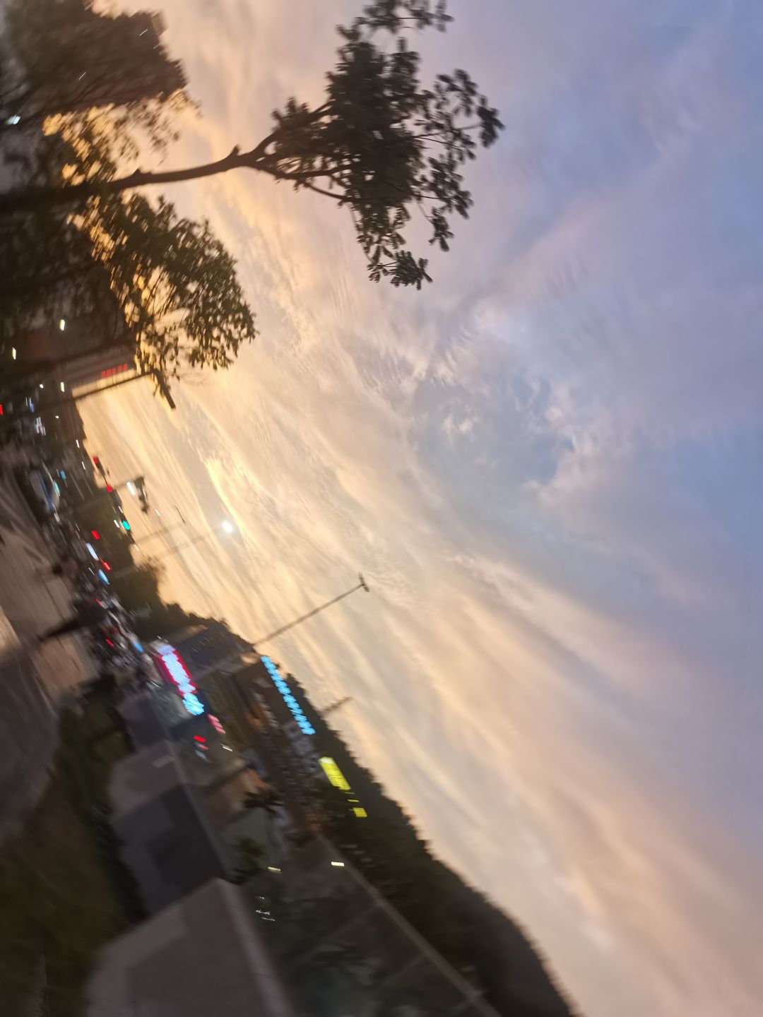 这就是为什么我喜欢深圳 3