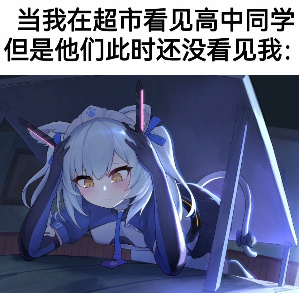 潮汐么么第245期 2
