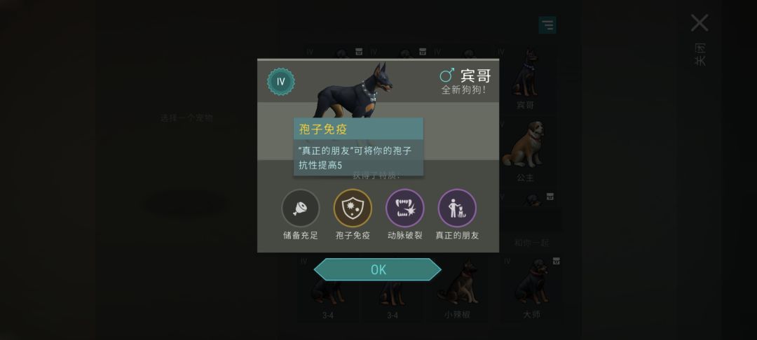 展示下最近育狗成果 3