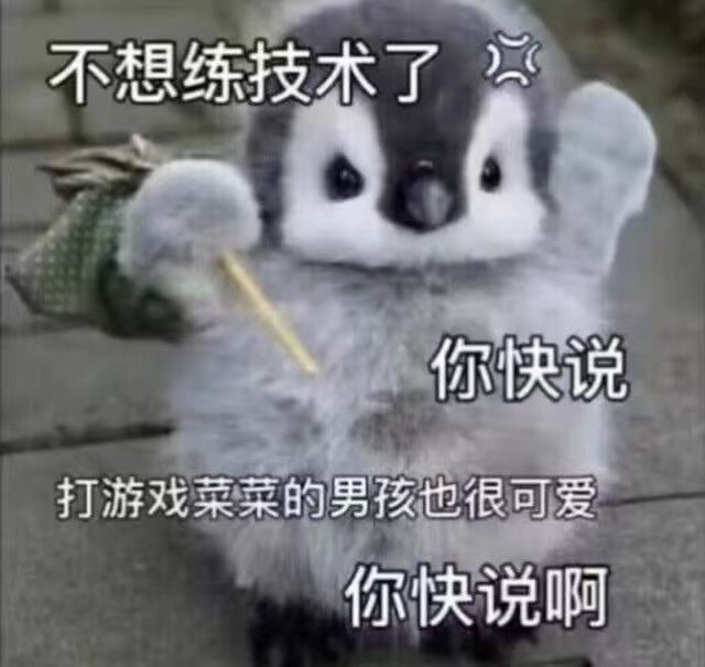 有大佬发一下毕业双刀的配置图不 1
