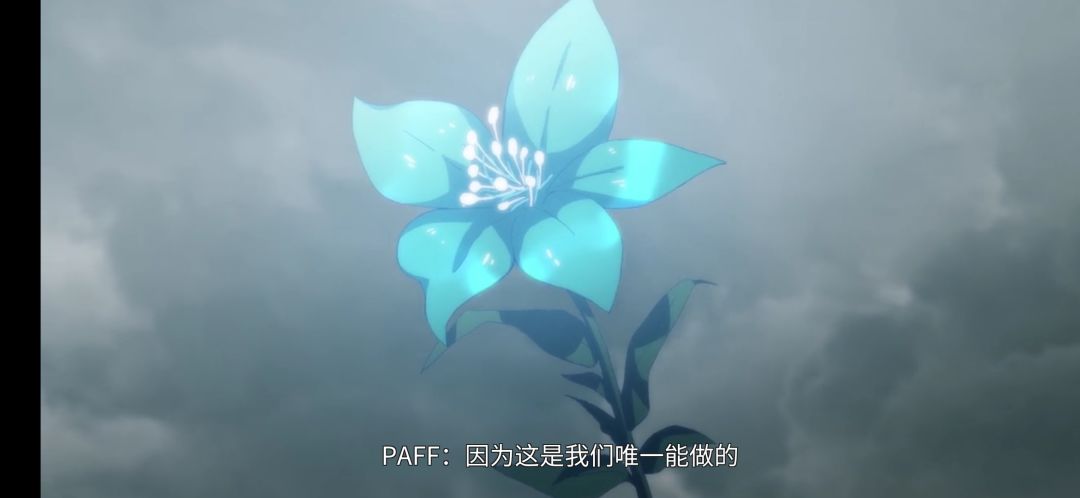 纪念!!! 2