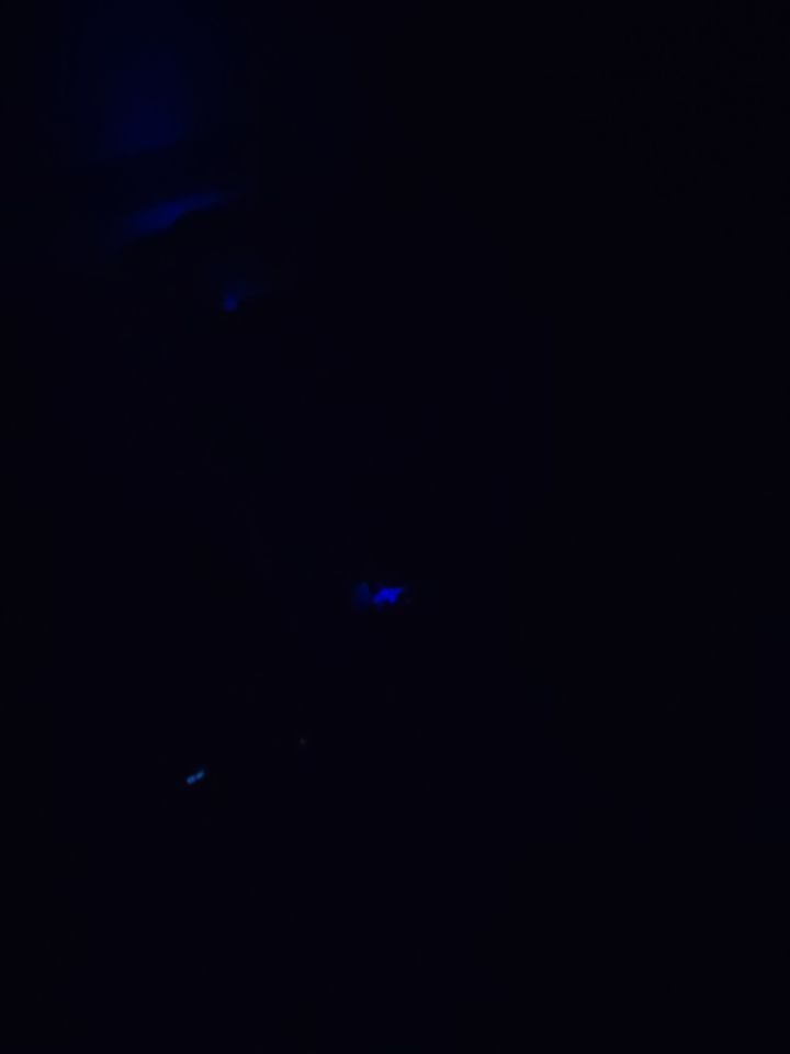 求个干净简洁耐玩的小游戏。截图
