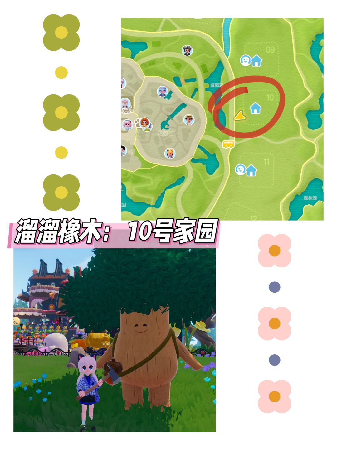 心动小镇日报(11.21)溜溜橡木+无暇萤石 2