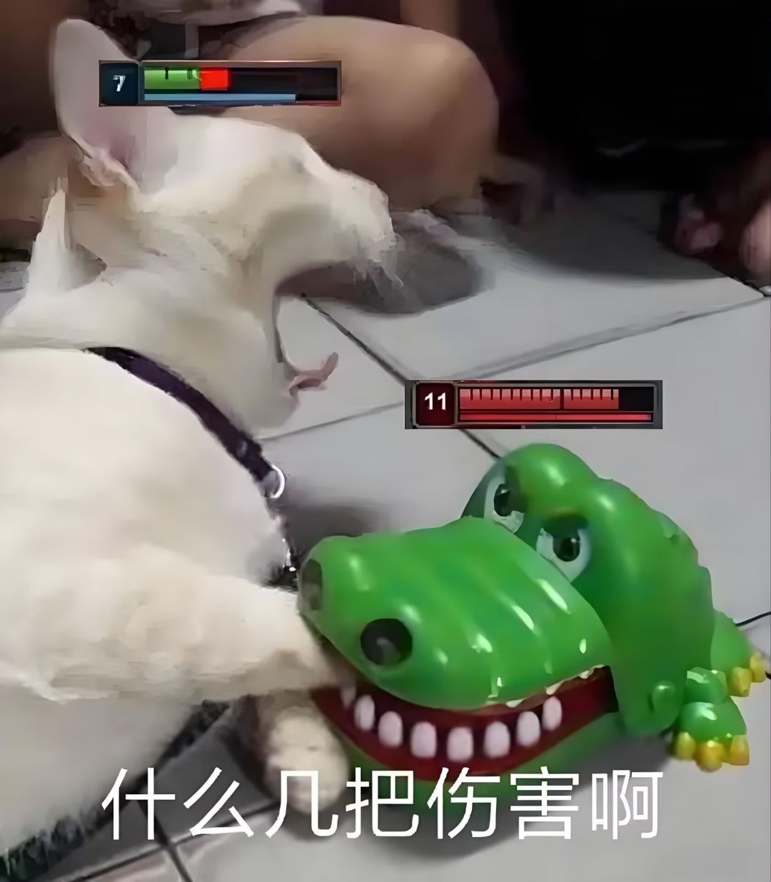 平民蜥蜴队伍暴论截图
