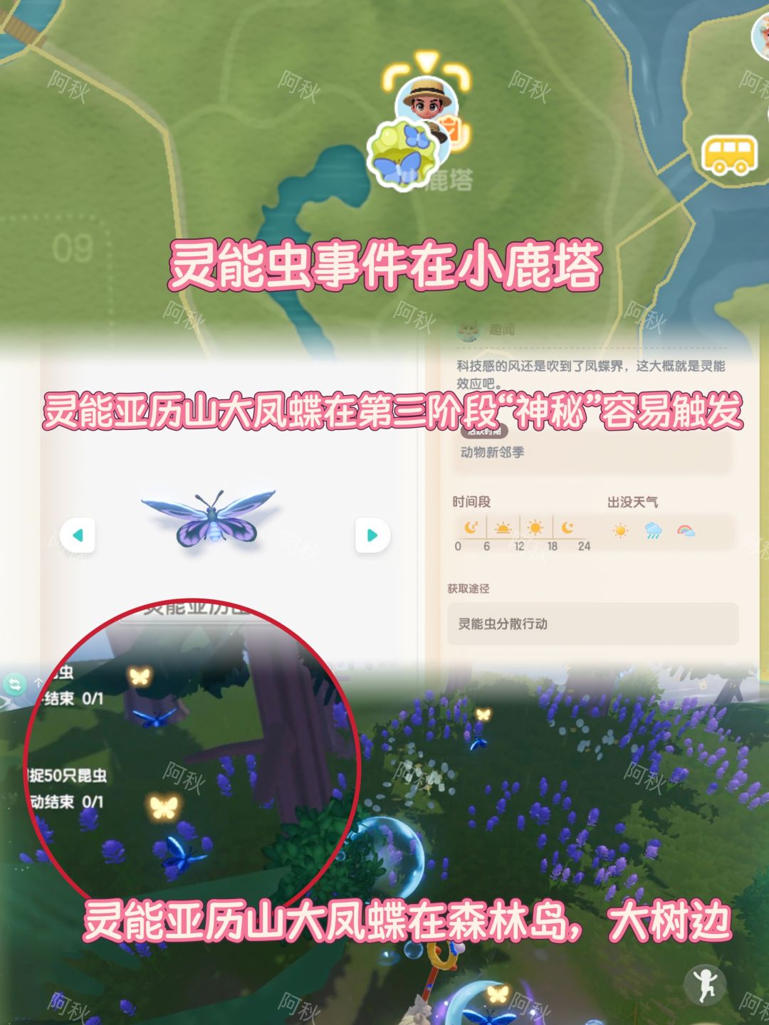 心动小镇百鸟归巢神秘阶段白腿小隼五星攻略 2