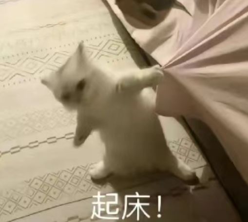 有没有人一起玩饥荒联机版的!端游! 1