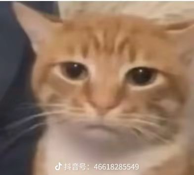 一套伤害是怎么算的呢截图