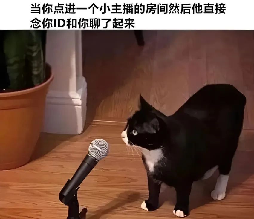 ✨今日份梗图分享第四十三期✨ 3