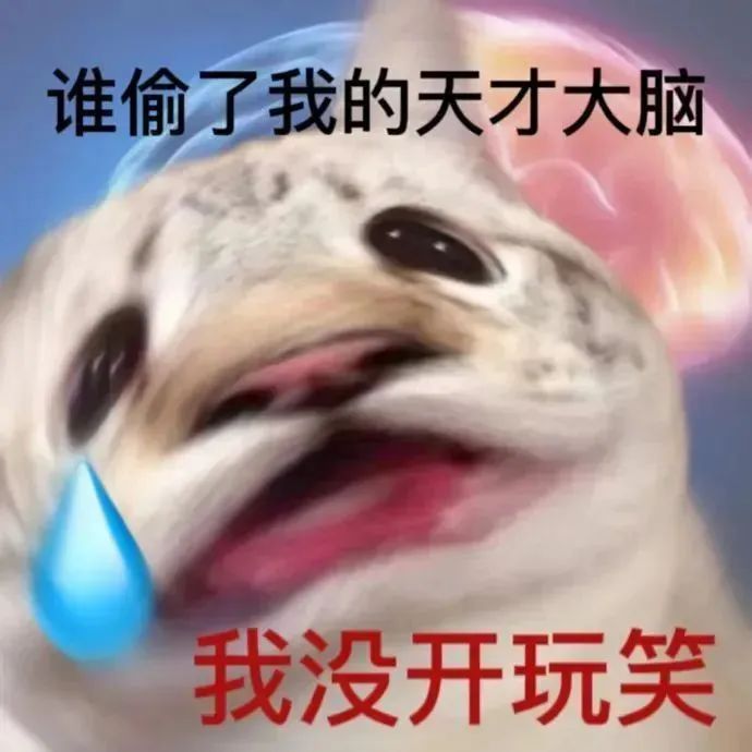 完全进不去了｡°(°´ᯅ`°)°｡ 3