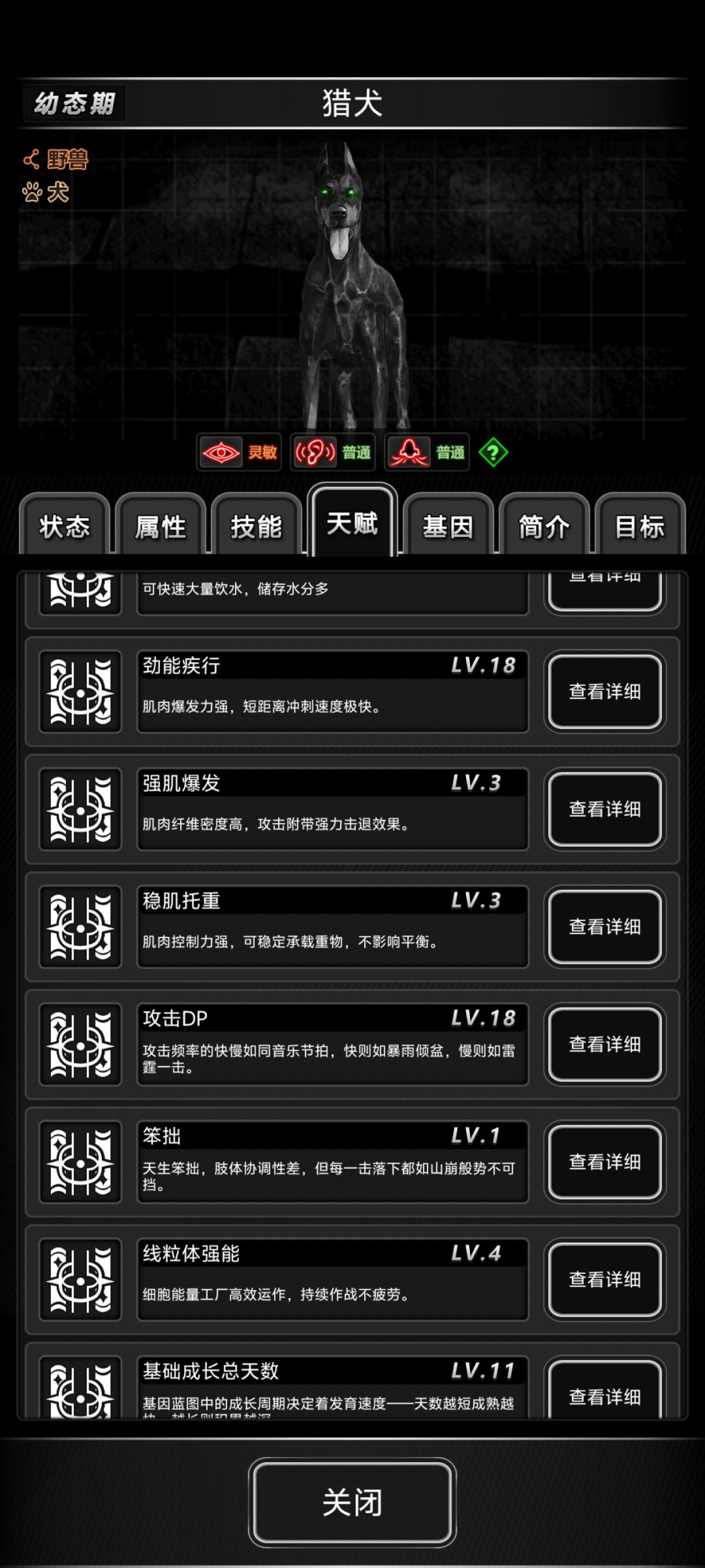 找到一只狗子,看起来还不错 2