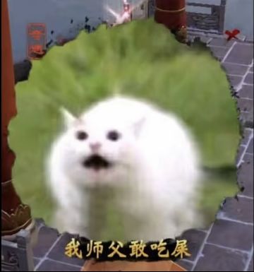 新区与老区，怎么选