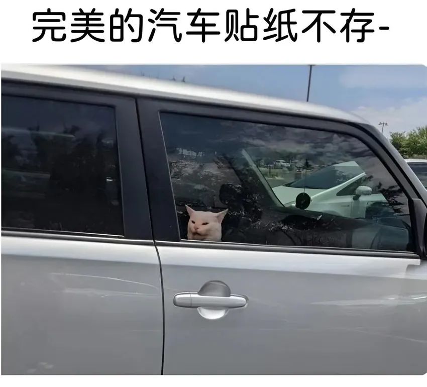 今日份梗图分享 2
