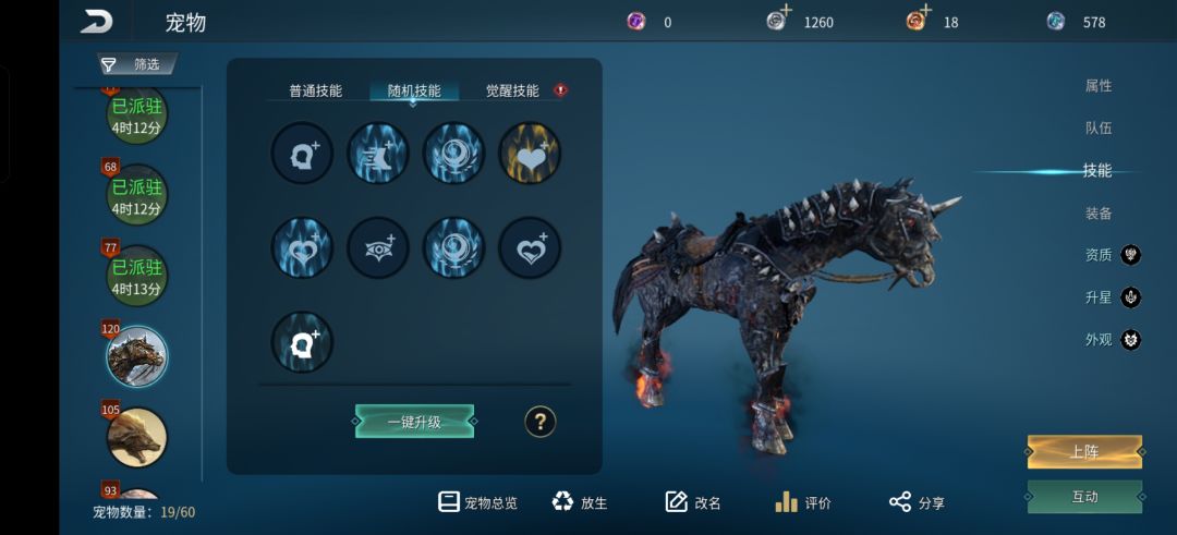 这个黑马能养吗,资质很低,有2四级1五级 2