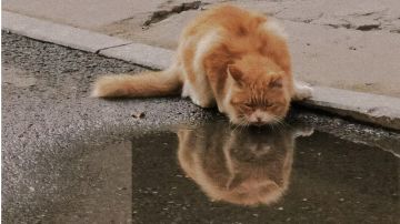 关注STARLIKE的三年，后雨教会了我（）