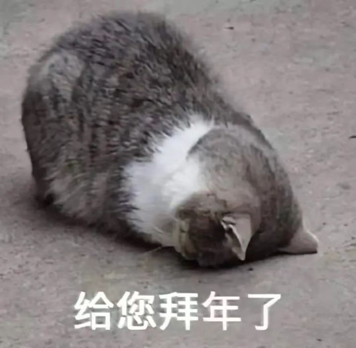 求红包暗号,呜呜呜好难找啊截图