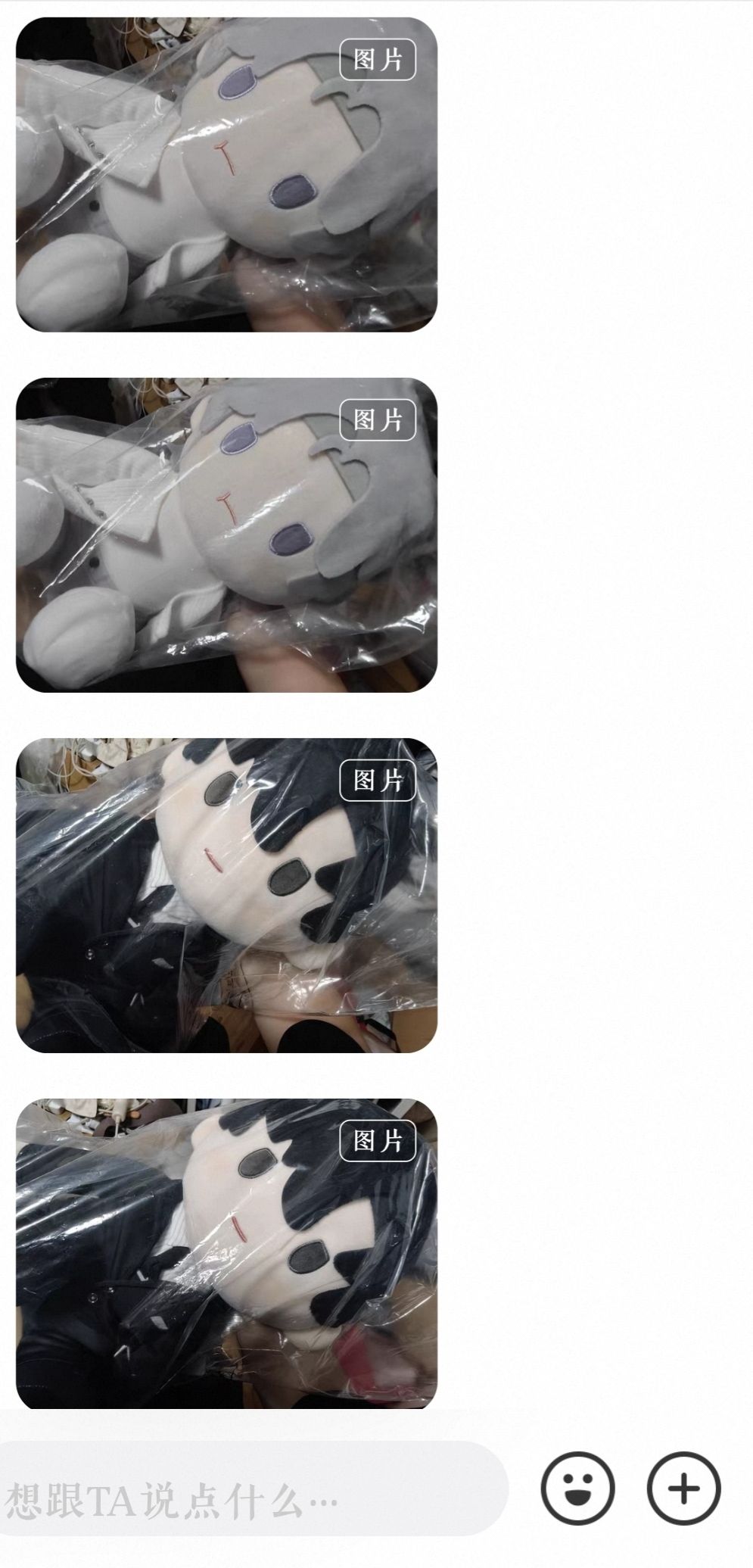 等待两只小可爱回家 2