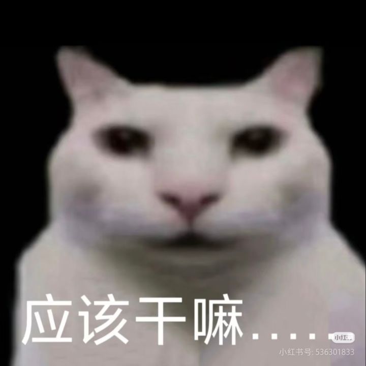 叶子用来干什么比较好？截图