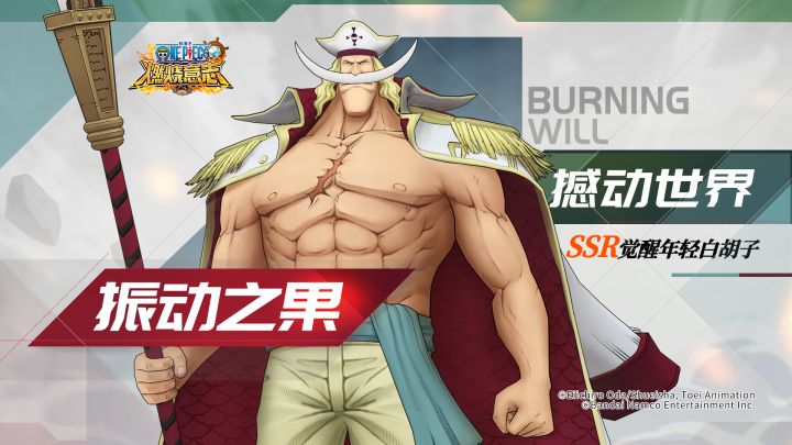 经典服|SSR年轻白胡子即将觉醒,技能抢先看!截图
