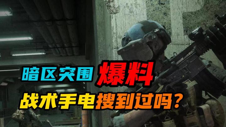 暗区突围：战术手电你们搜到过吗？截图