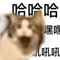 建议庆典里面可以设置，把自动寻路关了 2
