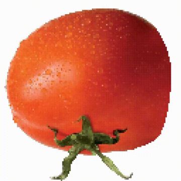 漫画版及火柴人优化帖Day6