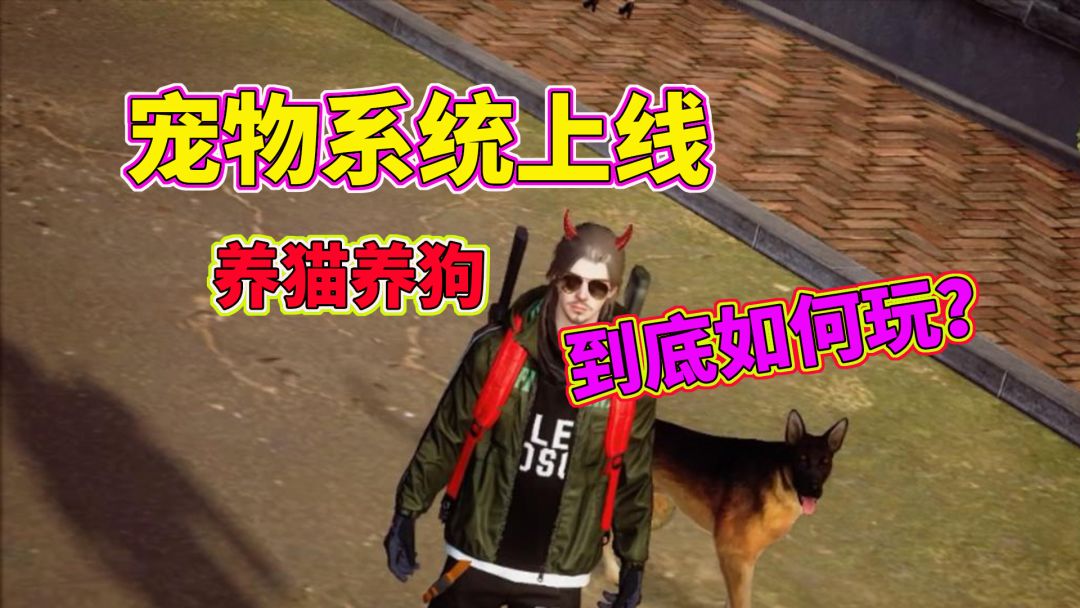 video-3372568