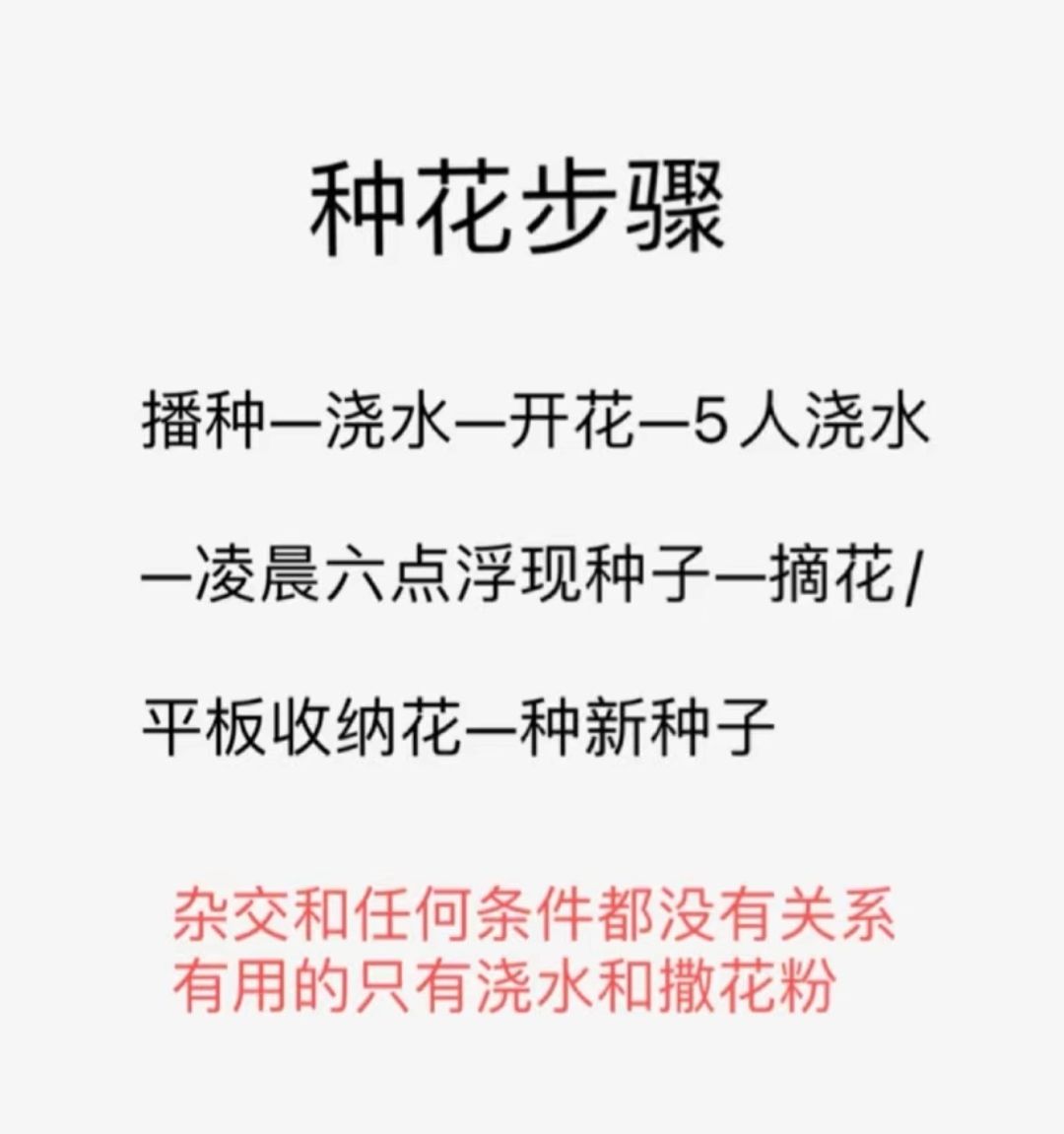 心动小镇花朵杂交正确步骤攻略截图