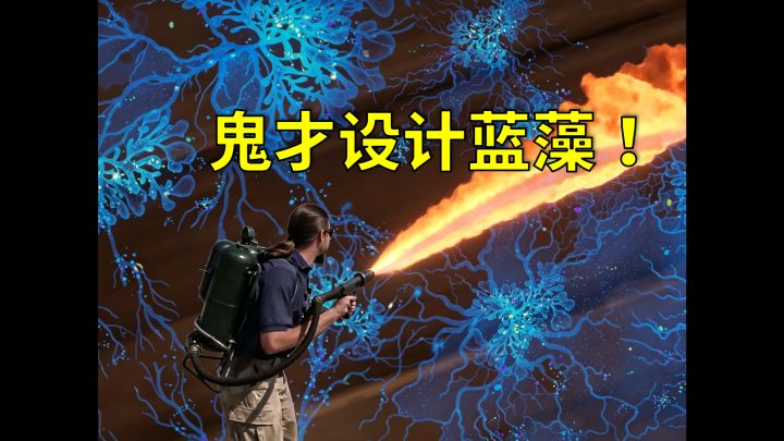 设计「蓝藻」的人简直是天才!【细节彩蛋篇·原神】截图