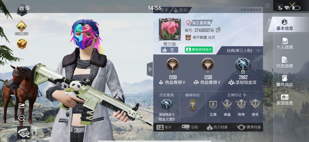 动态图片 2