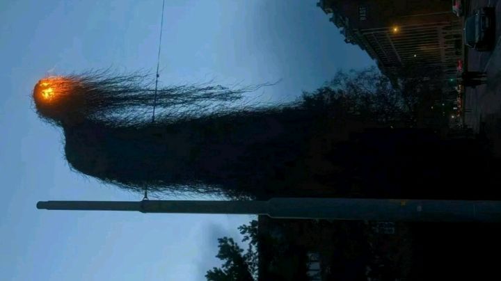要不优化下?宠物卡住了精英怪,打了几分钟截图