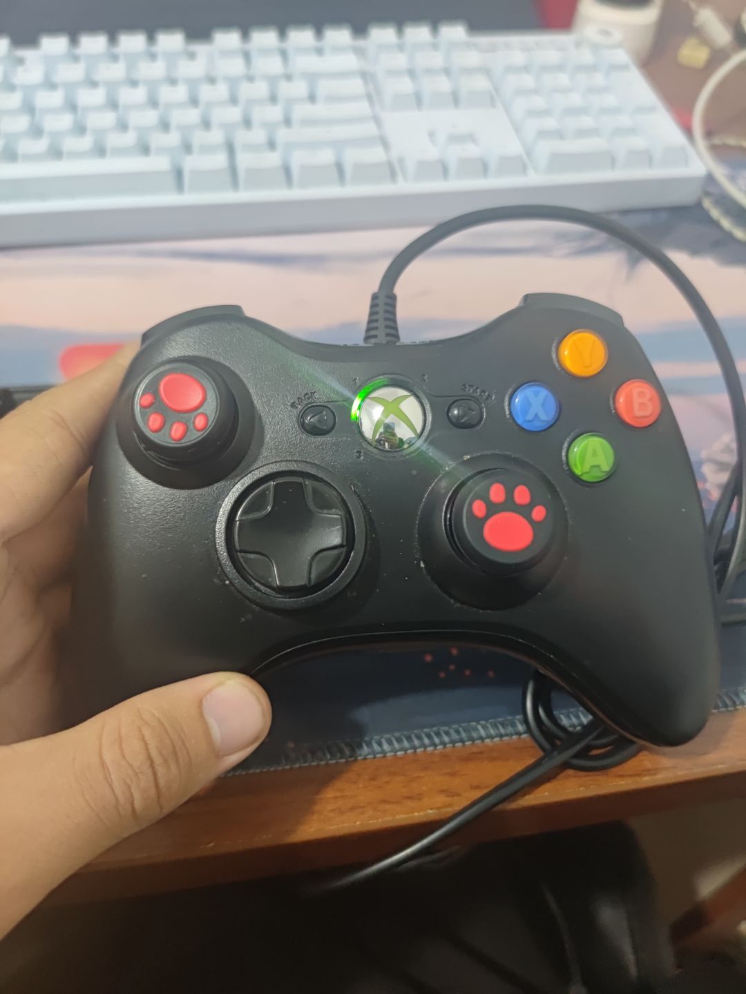 动态图片 1