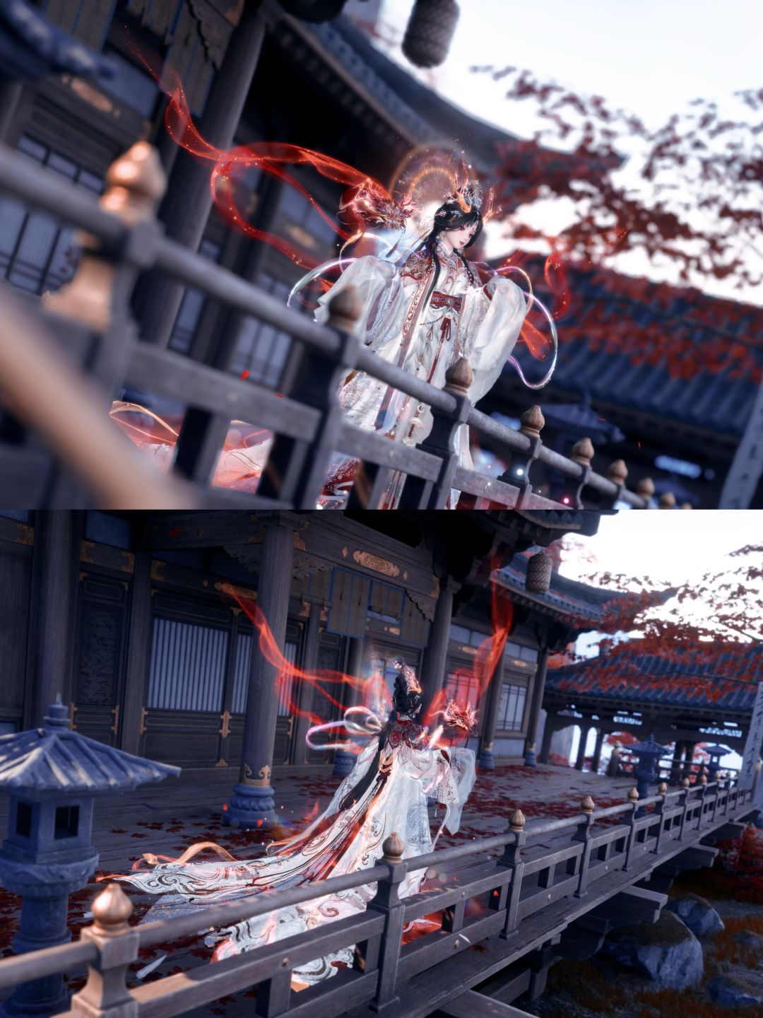 枫林尽染 3
