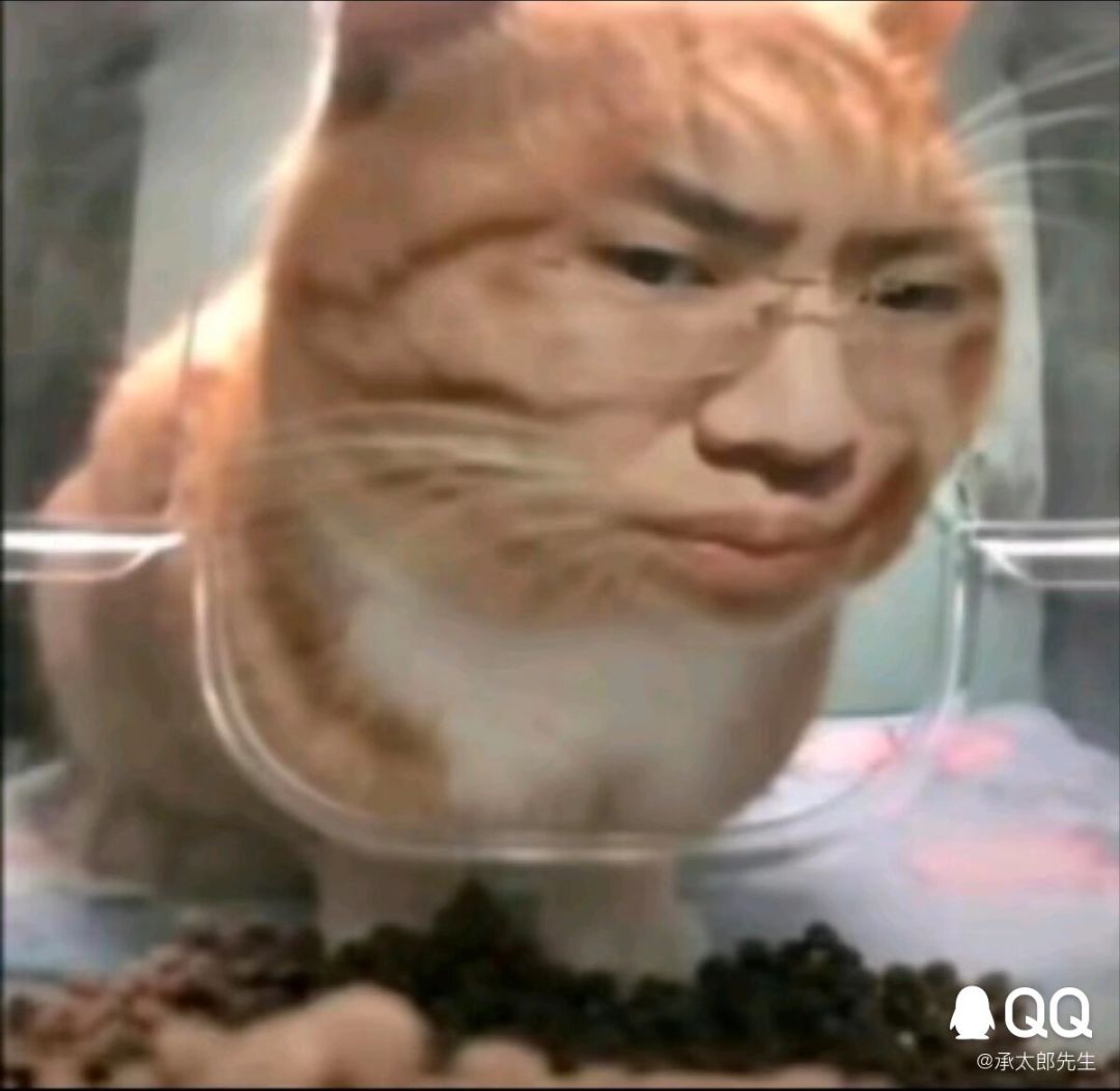 动态图片 4