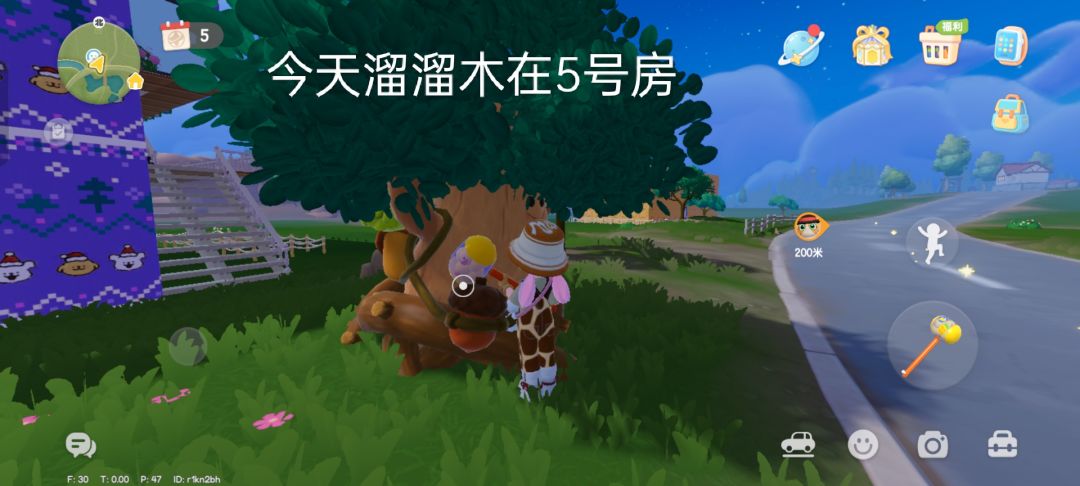 1月11号萤石和溜溜橡木位置截图