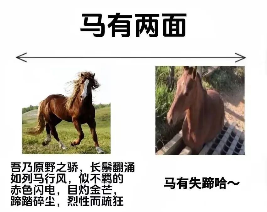 ✨今日份梗图分享第二十五期✨ 3