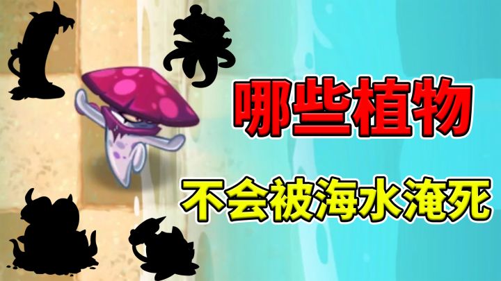 植物大战僵尸2:哪类植物不会被潮水淹没?截图