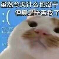 建议物华弥新改名凤仙郡