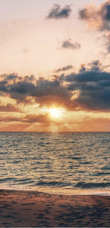 搞不明白小猴在干吗！