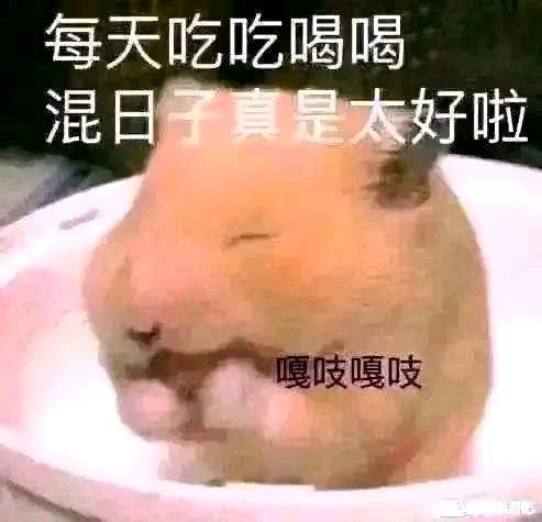 精彩截图分享 2024-12-16 1