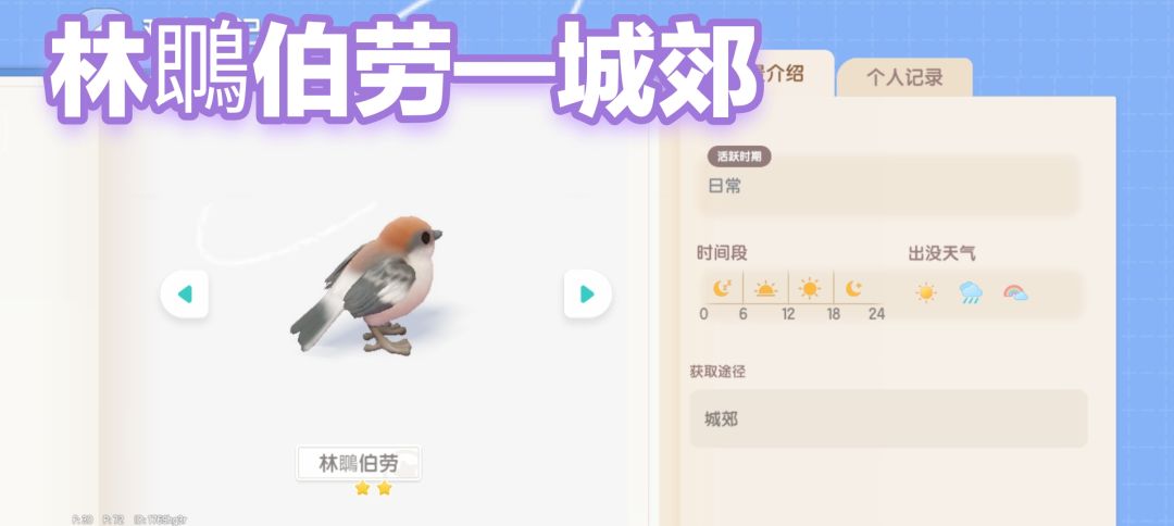 三种鸟:林䳭伯劳、文须雀、灰冠红雀 1