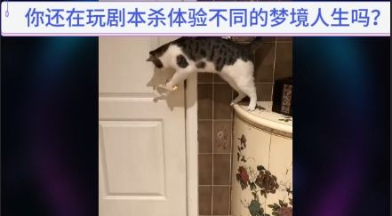 沉浸式互动梦境，以拿到这个宫斗剧本展开！截图
